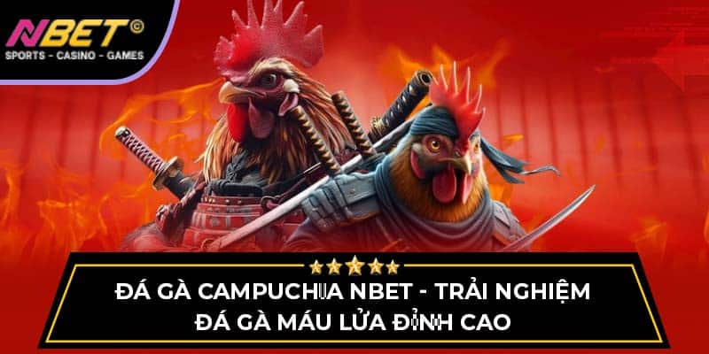 Đá Gà Campuchia NBET - Trải Nghiệm Đá Gà Máu Lửa Đỉnh Cao 1 Đá Gà Campuchia - Trải Nghiệm Đá Gà Máu Lửa Đỉnh Cao
